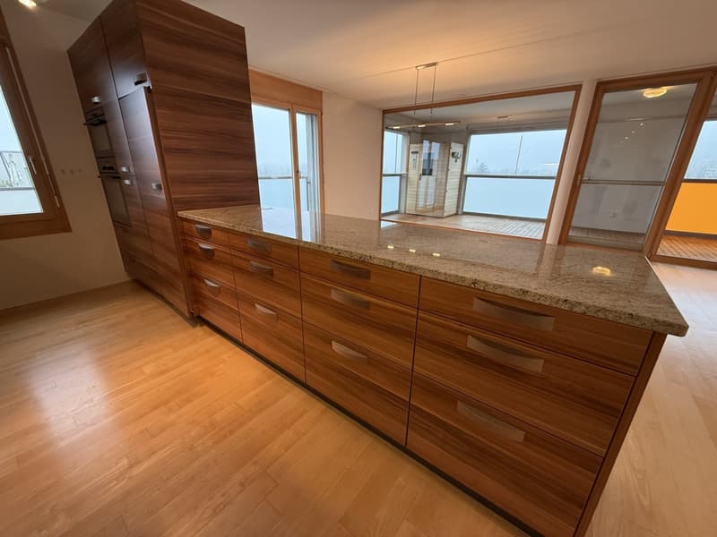 Spacious attic apartment in a quiet residential area (5)