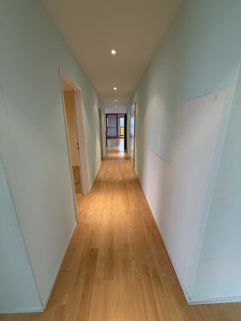 Spacious attic apartment in a quiet residential area (14)