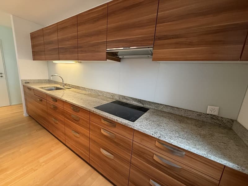 Spacious attic apartment in a quiet residential area (6)