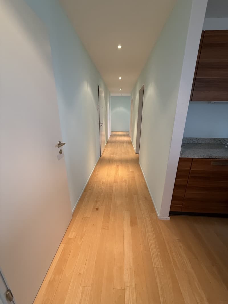 Spacious attic apartment in a quiet residential area (10)