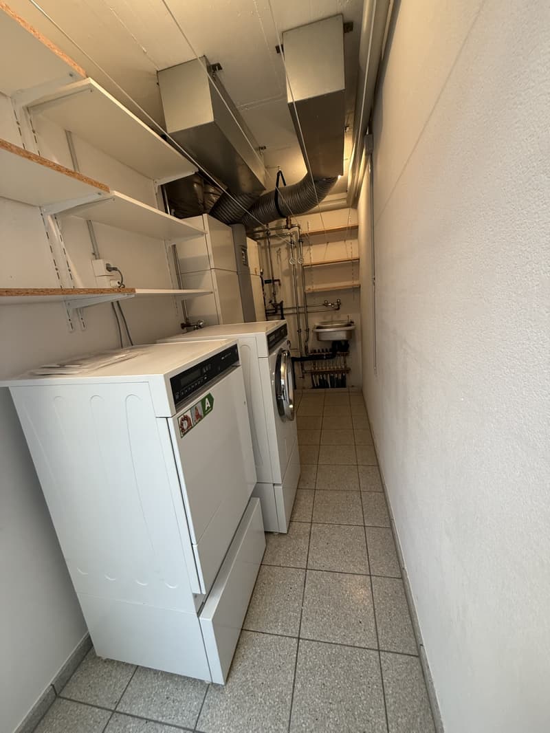 Spacious attic apartment in a quiet residential area (23)
