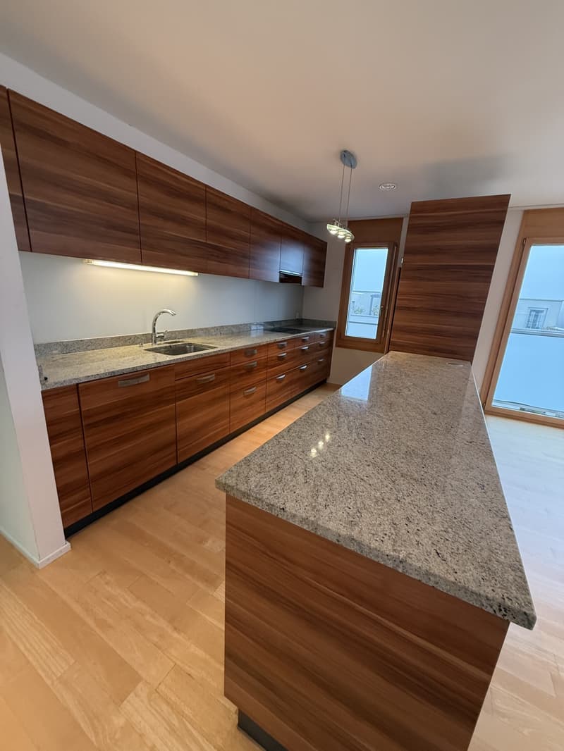 Spacious attic apartment in a quiet residential area (4)