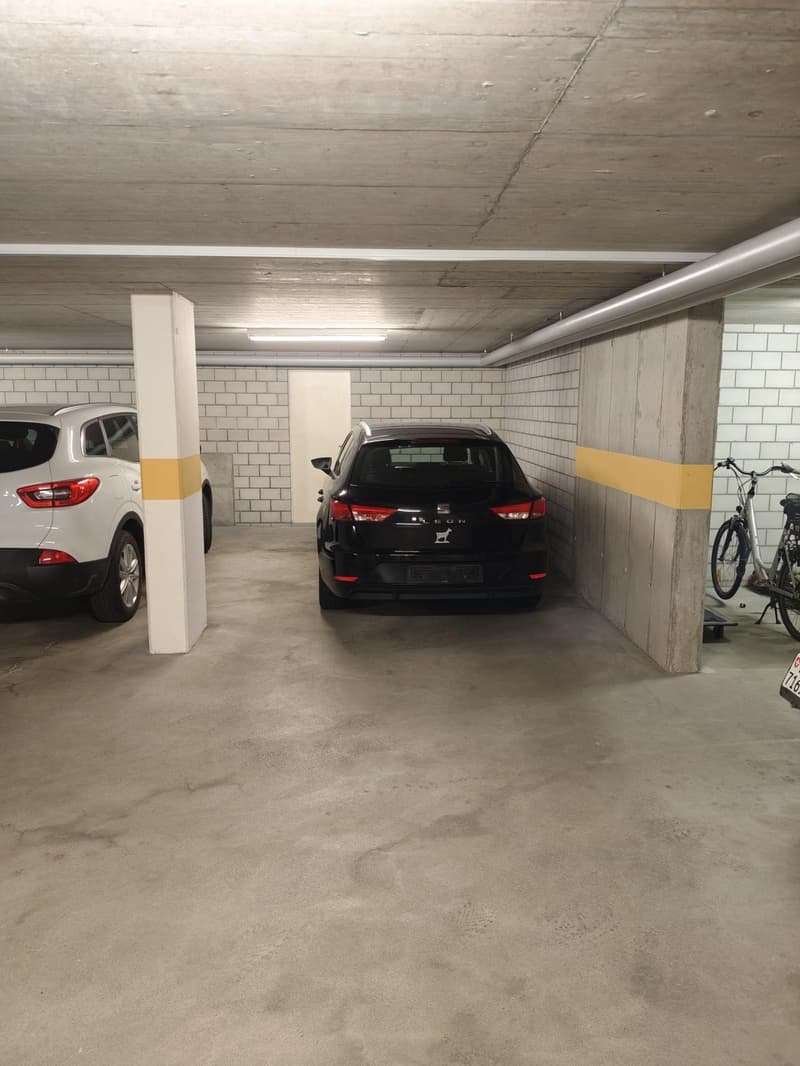 Exklusive EFH-Alternative: 4.5-Zimmer-Wohnung in Lohn-Ammannsegg (135 m²) (35)