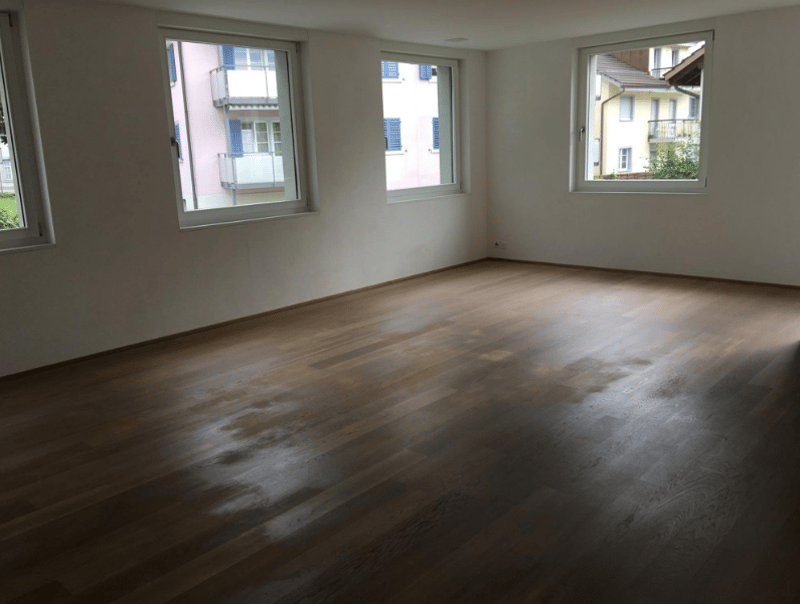 Modern 1.5-room apartment in Uster (1)