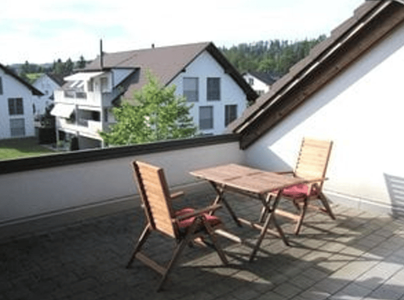 Modern 2.5-room attic apartment with terrace in Zollikon (1)