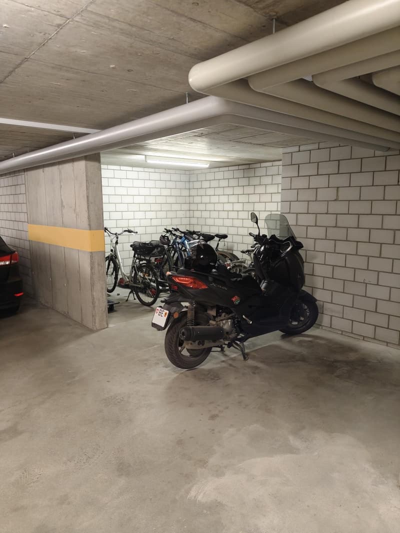 Alternative exclusive à une maison unifamiliale : appartement 4,5 pièces à Lohn-Ammannsegg (135 m²) (37)