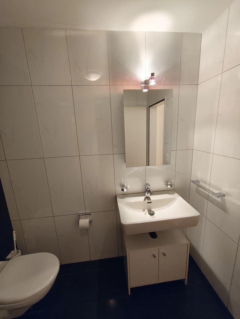 Alternative exclusive à une maison unifamiliale : appartement 4,5 pièces à Lohn-Ammannsegg (135 m²) (30)