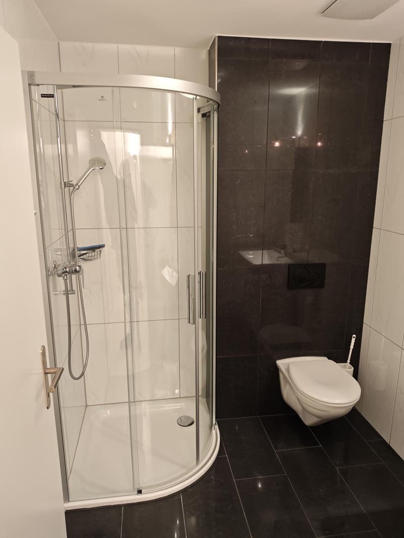 Alternative exclusive à une maison unifamiliale : appartement 4,5 pièces à Lohn-Ammannsegg (135 m²) (29)