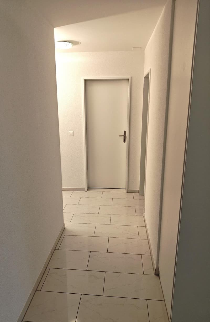 Alternative exclusive à une maison unifamiliale : appartement 4,5 pièces à Lohn-Ammannsegg (135 m²) (17)