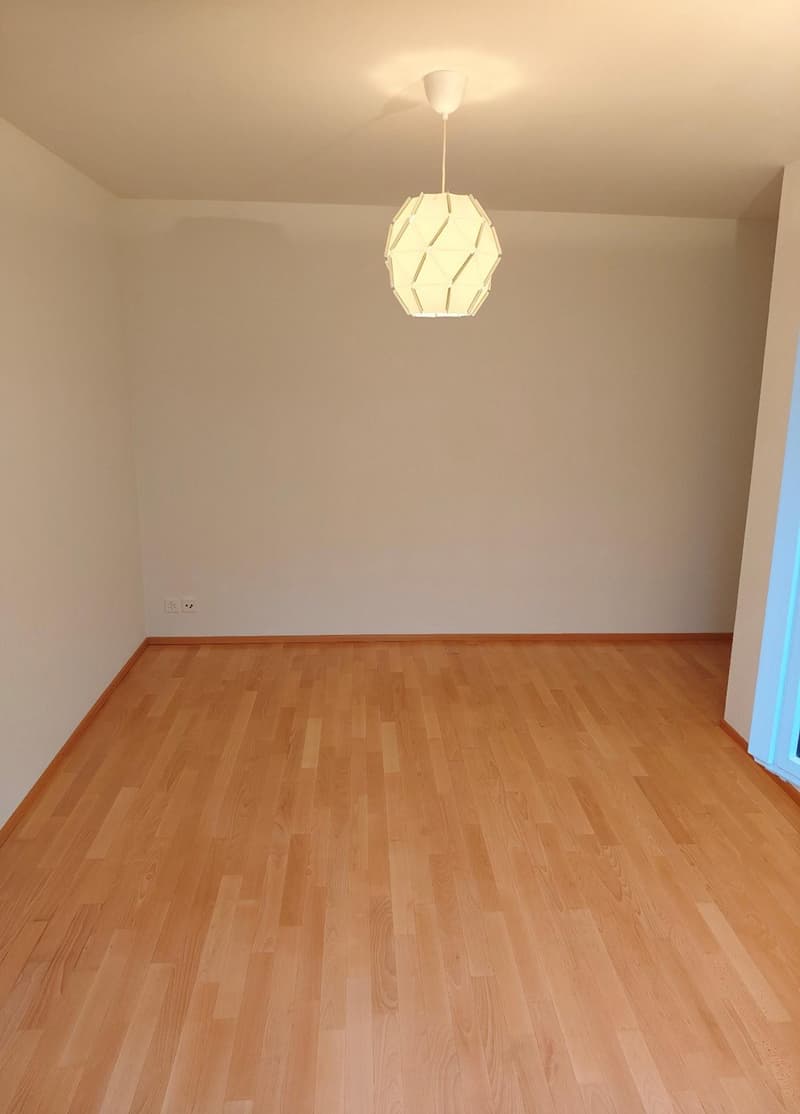 Alternative exclusive à une maison unifamiliale : appartement 4,5 pièces à Lohn-Ammannsegg (135 m²) (19)