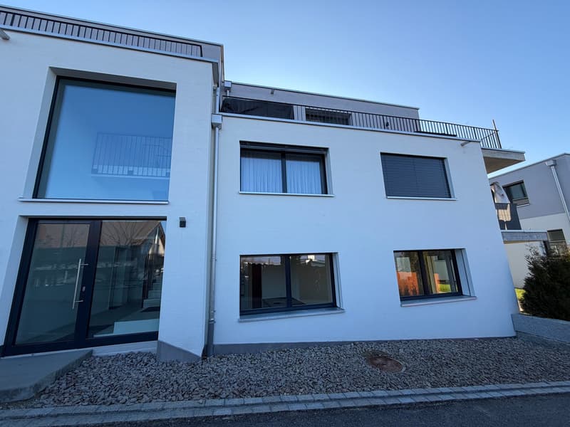 Appartamento moderno di 3,5 locali al piano terra con area di giardino a Büsserach (12)