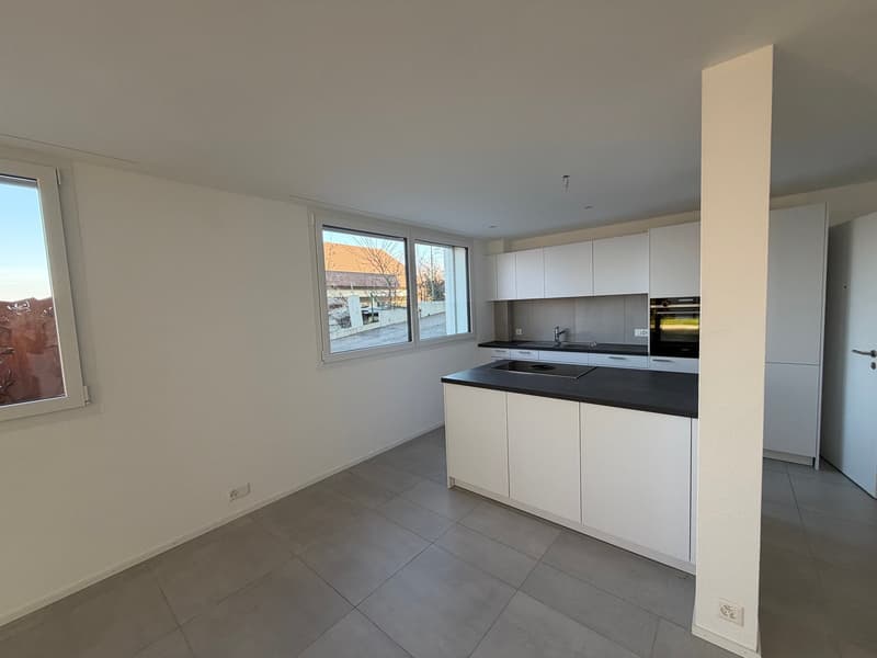 Appartamento moderno di 3,5 locali al piano terra con area di giardino a Büsserach (7)