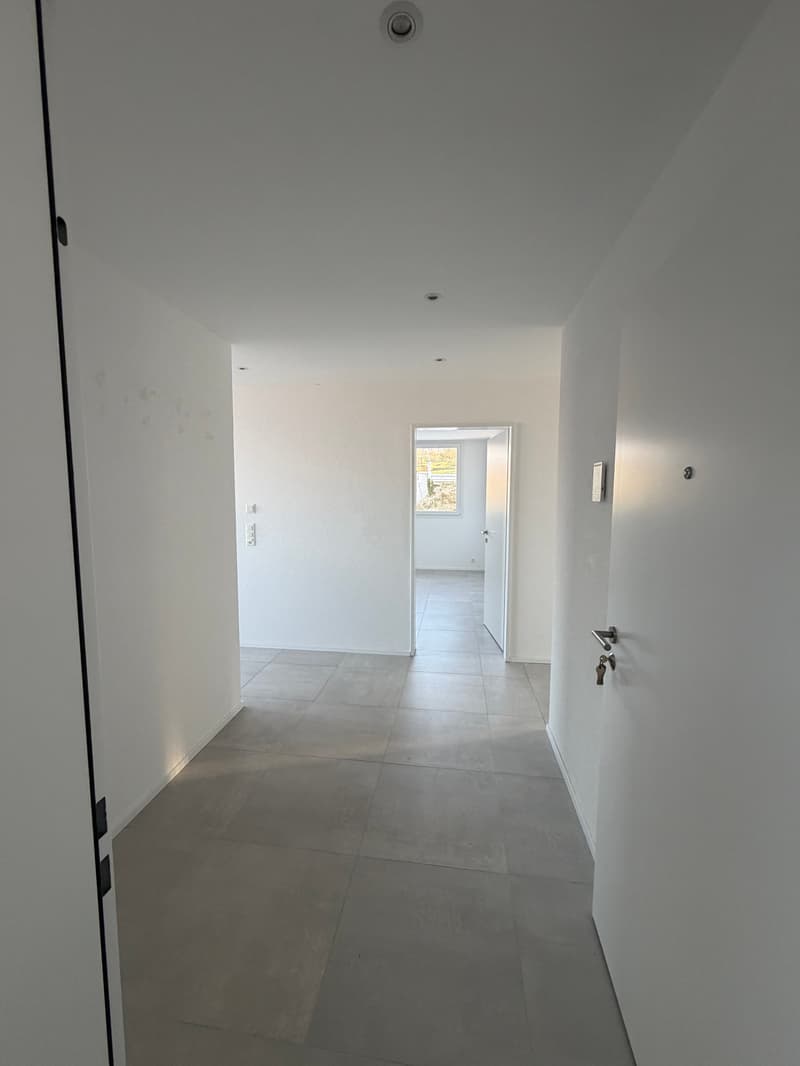 Appartamento moderno di 3,5 locali al piano terra con area di giardino a Büsserach (5)