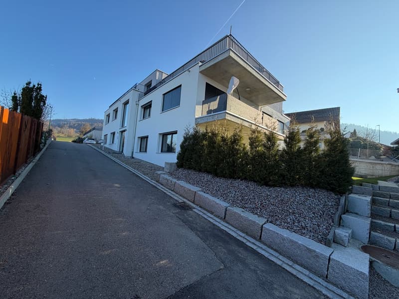 Appartamento moderno di 3,5 locali al piano terra con area di giardino a Büsserach (13)