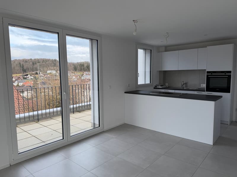 Appartamento in mansarda 3.5 locali con vista fantastica (3)