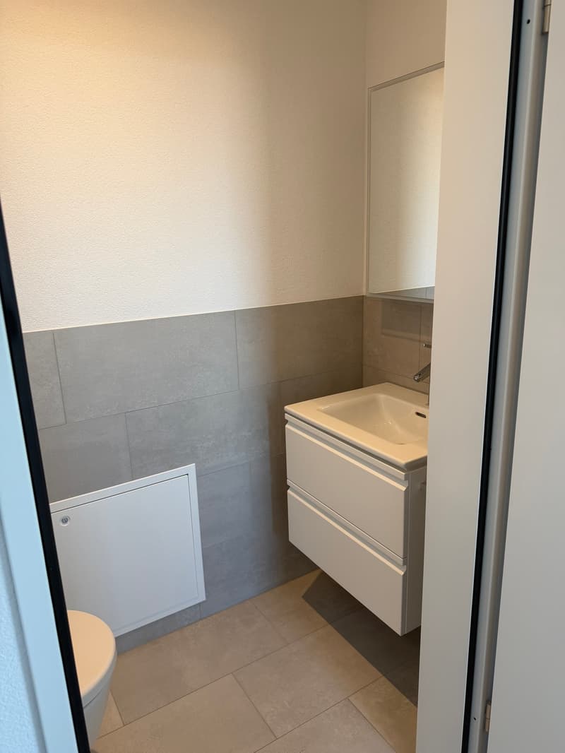 Appartamento in mansarda 3.5 locali con vista fantastica (9)