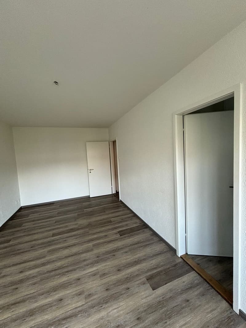 Appartamento moderno 1.5 locali con cucina separata in una posizione tranquilla (3)