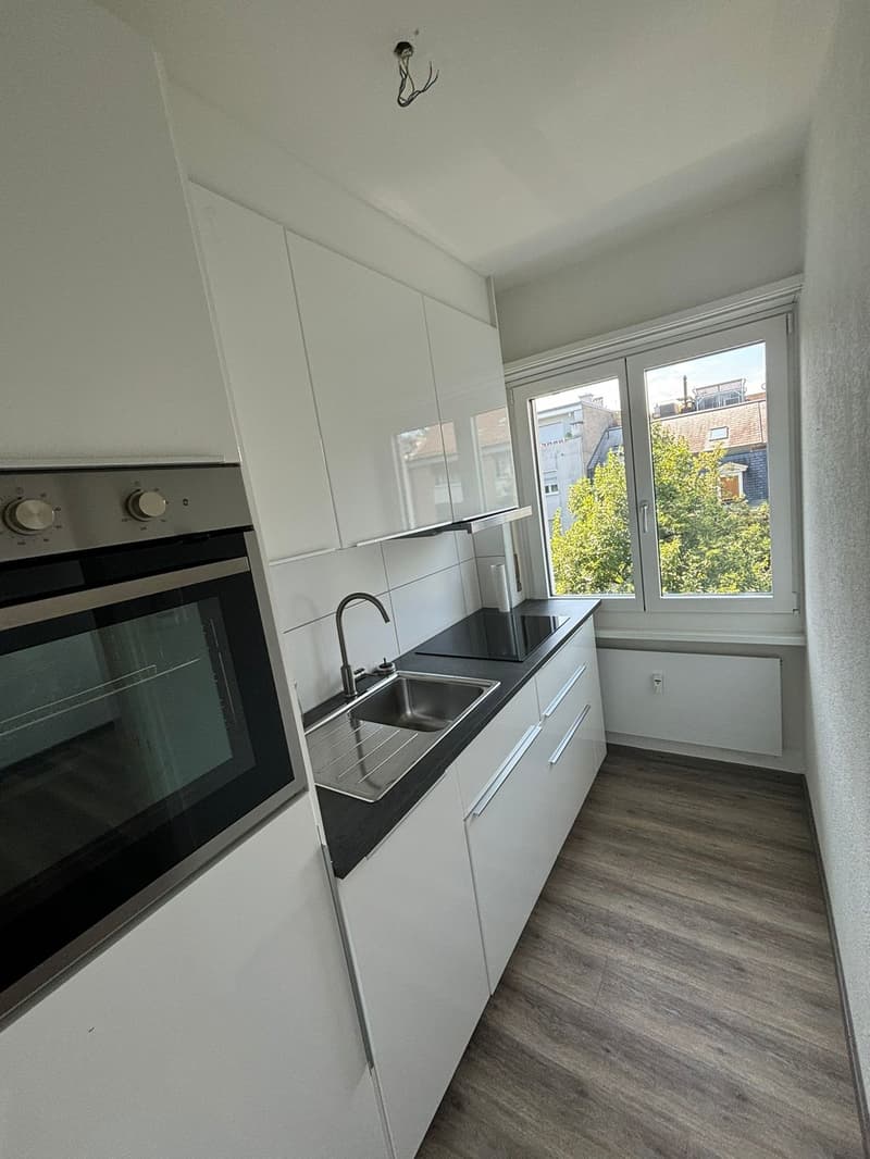 Appartamento moderno 1.5 locali con cucina separata in una posizione tranquilla (4)