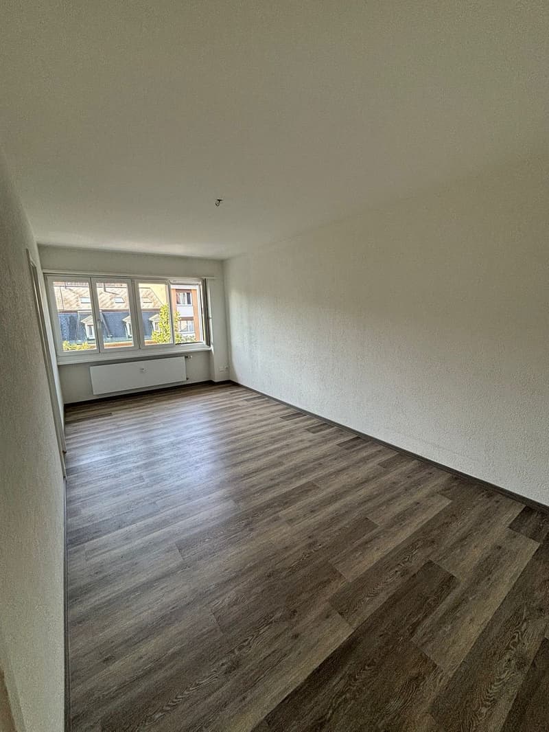 Appartamento moderno 1.5 locali con cucina separata in una posizione tranquilla (2)