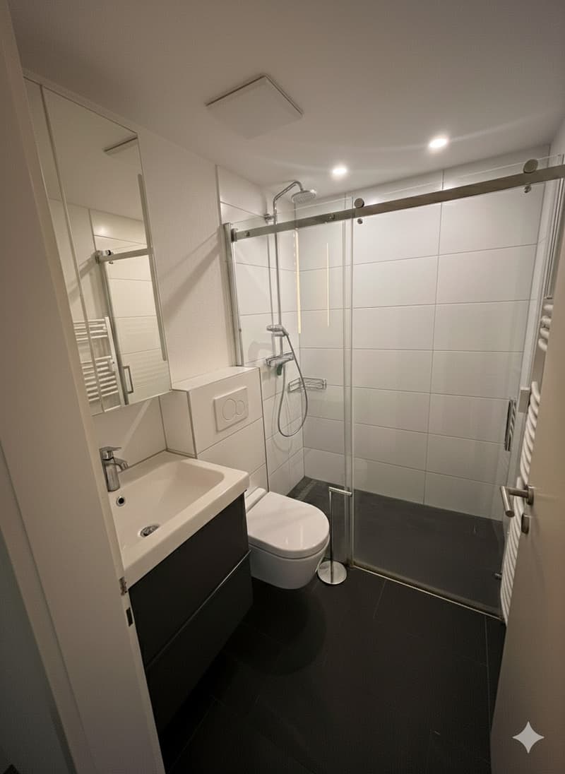 Appartamento moderno 1.5 locali con cucina separata in una posizione tranquilla (5)
