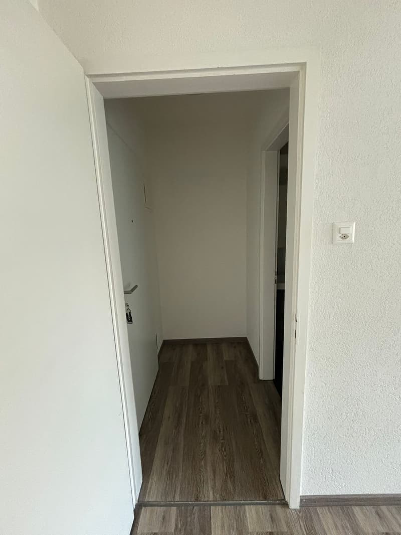 Appartamento moderno 1.5 locali con cucina separata in una posizione tranquilla (6)