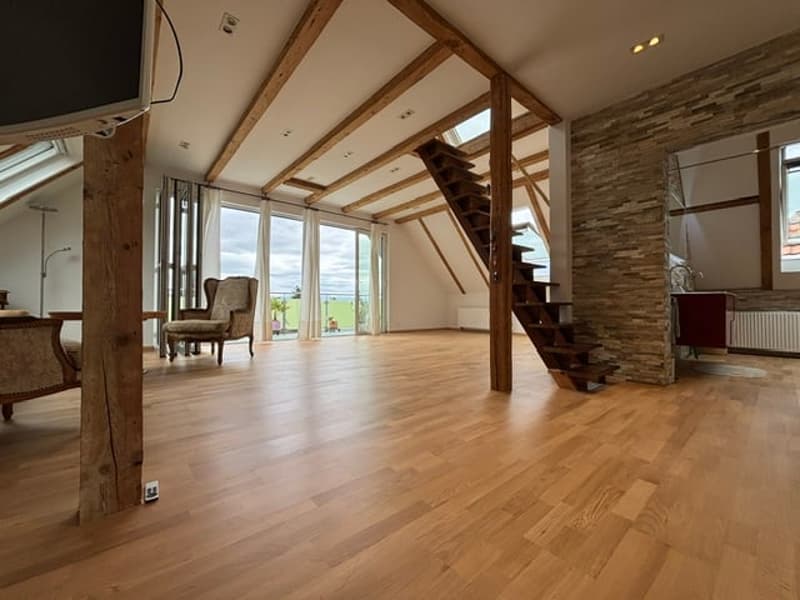 3 exclusive apartments (4.5, 2.5 & Penthouse) with guest house and garden / Option: entire property (9)