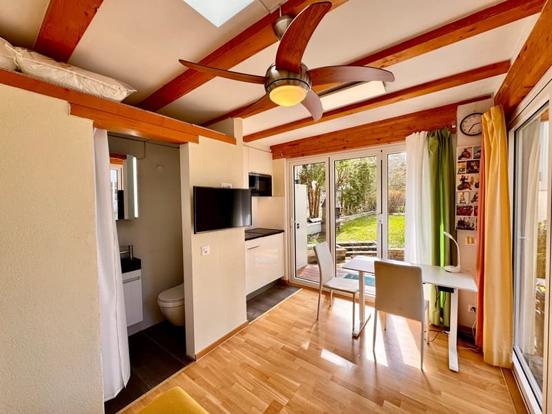 3 exclusive apartments (4.5, 2.5 & Penthouse) with guest house and garden / Option: entire property (2)