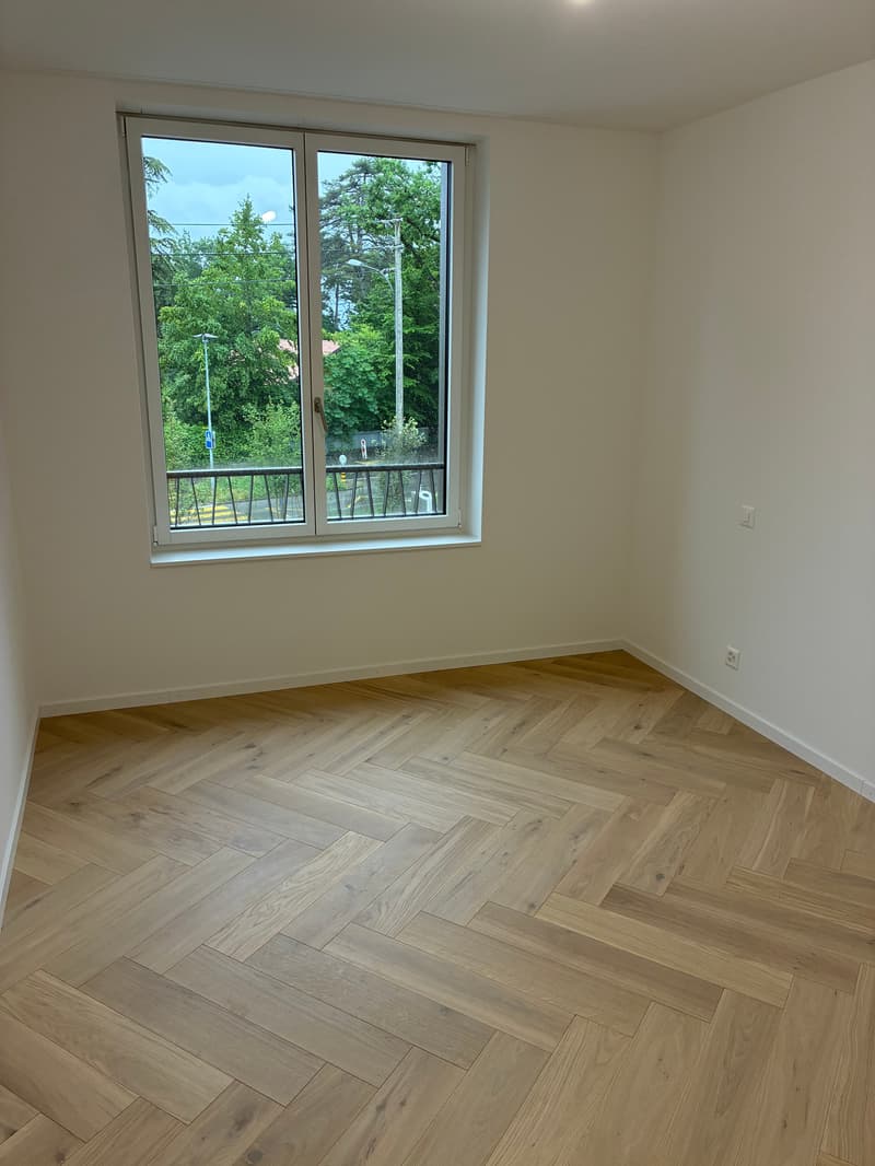 Luxury new apartment with 6 rooms, loggia and indoor parking in Vandœuvres (5)