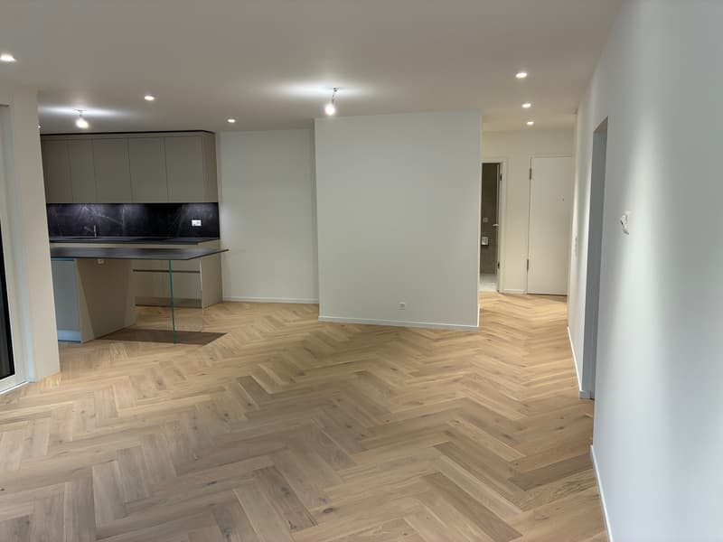 Luxury new apartment with 6 rooms, loggia and indoor parking in Vandœuvres (1)