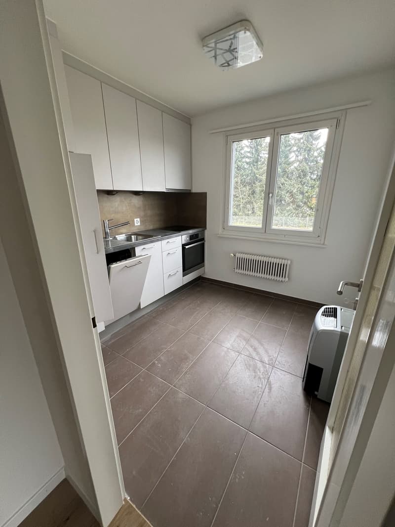 Appartement 4.5 pièces à louer (3)