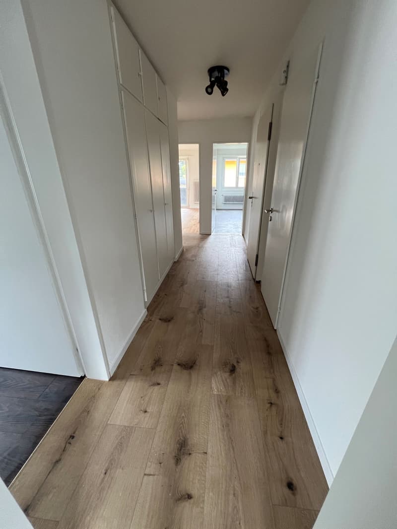 Appartement 4.5 pièces à louer (6)