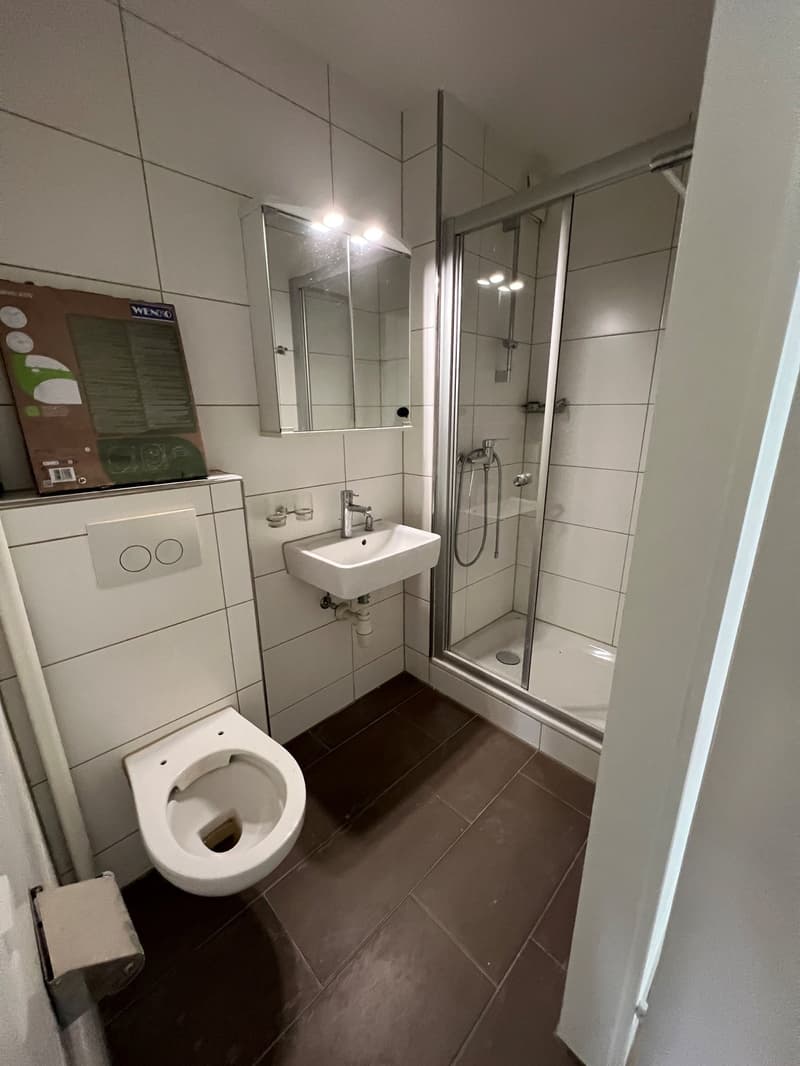Appartement 4.5 pièces à louer (4)