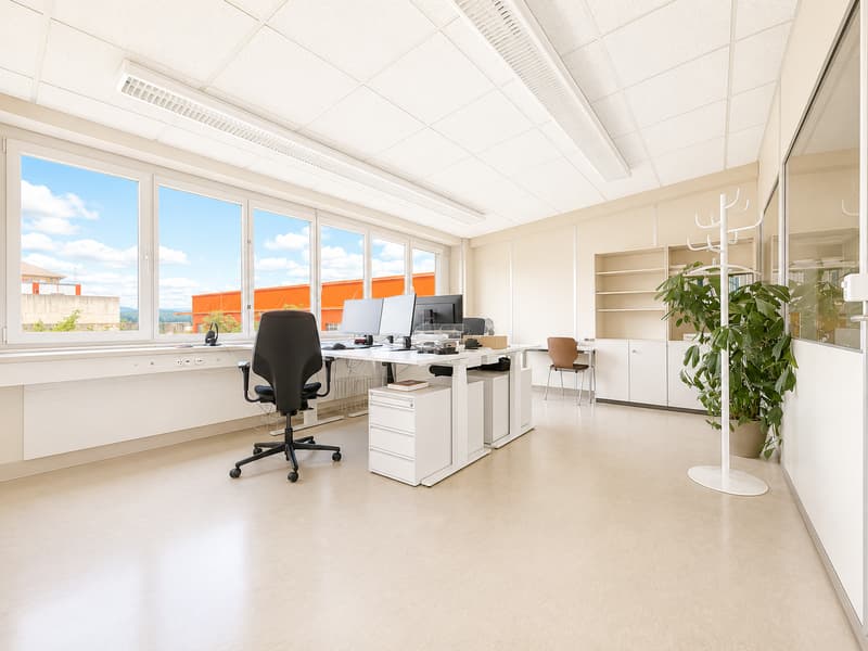 Modern industrial hall with office space and 20 parking spaces in Kleindöttingen (7)