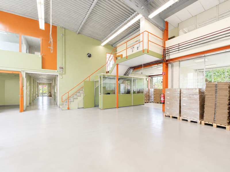 Modern industrial hall with office space and 20 parking spaces in Kleindöttingen (5)