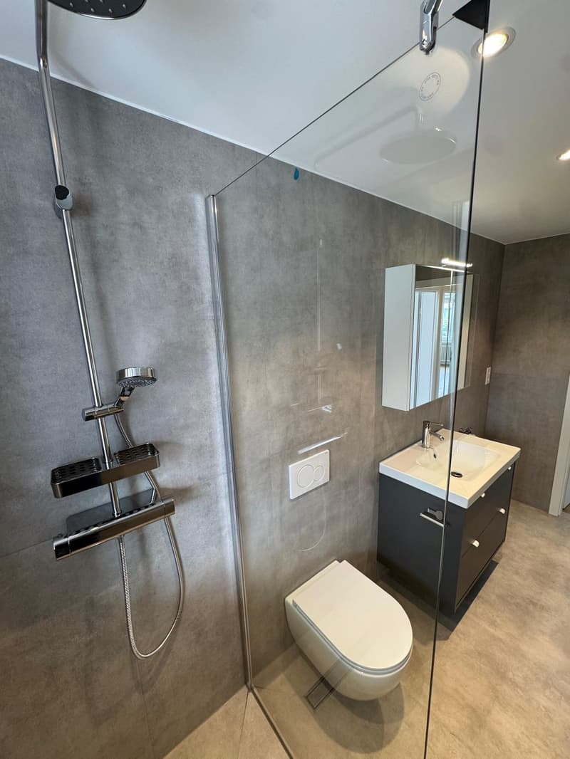 Appartement spacieux 4.5 pièces avec 108 m² d'espace de vie et environ 40 m² de terrasse (2)
