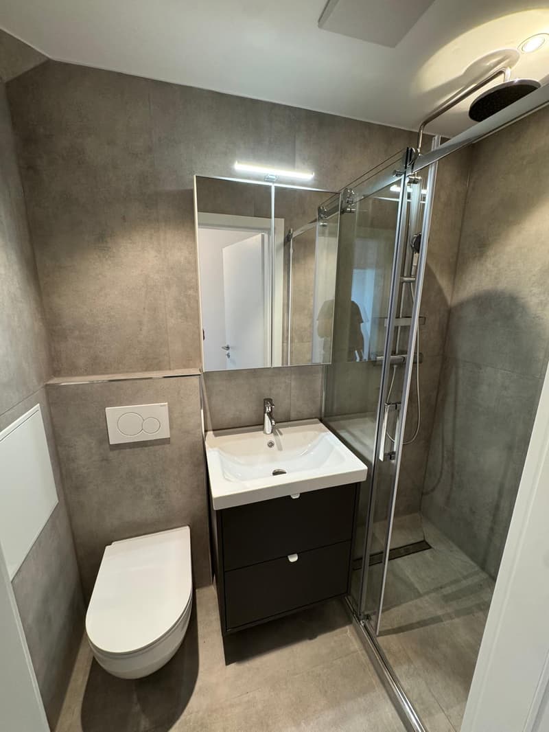 Appartement spacieux 4.5 pièces avec 108 m² d'espace de vie et environ 40 m² de terrasse (4)