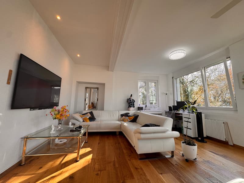 Exclusive 2.5-room apartment with guest house and garden in Grenchen city center (3)