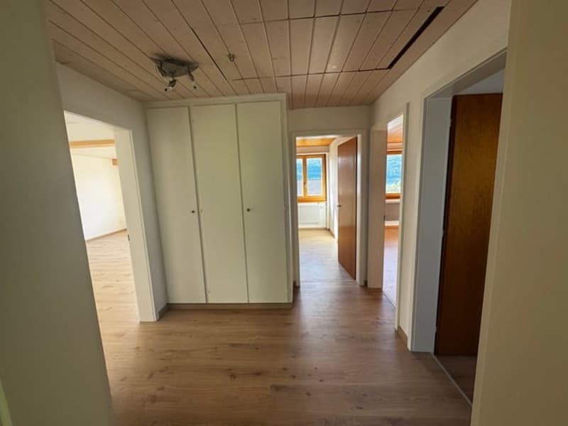 Incantevole casa unifamiliare 5-6 locali con vista lago e giardino a Mörigen (2)