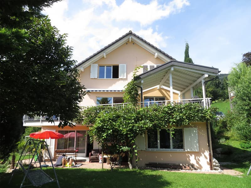 Charmantes 6.5-Zimmer-Einfamilienhaus mit Aussicht in Rebstein (2)