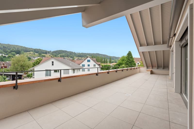 Primo affitto: appartamento attico esclusivo con ampio balcone e caminetto (13)