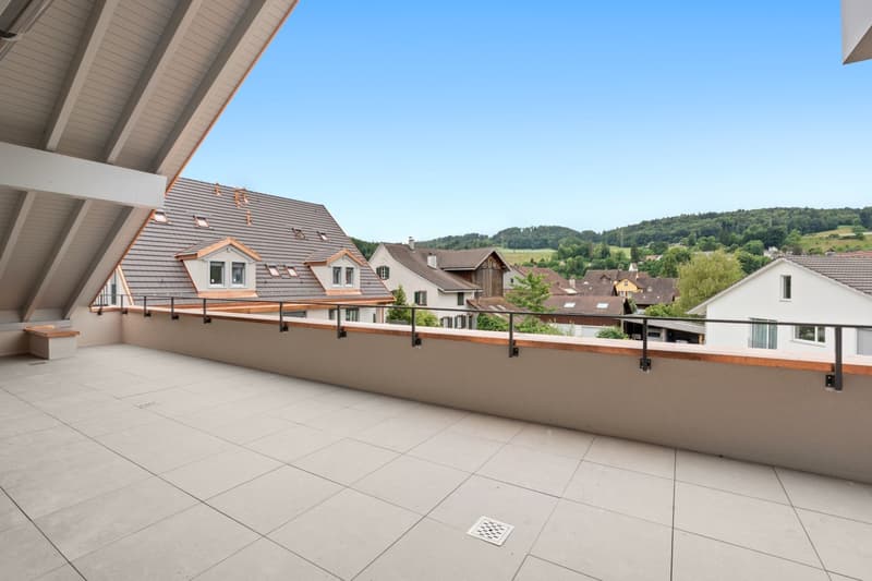 Primo affitto: appartamento attico esclusivo con ampio balcone e caminetto (10)