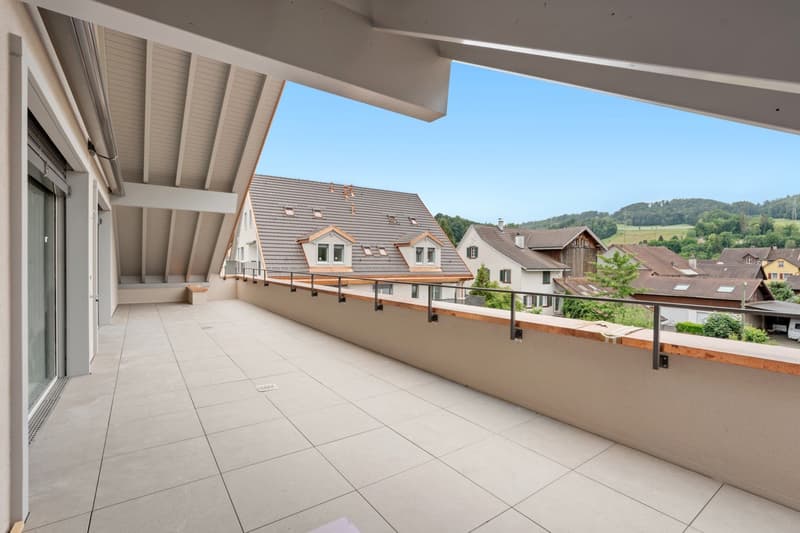 Primo affitto: appartamento attico esclusivo con ampio balcone e caminetto (12)