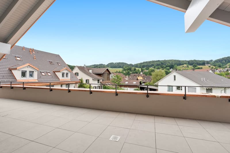Primo affitto: appartamento attico esclusivo con ampio balcone e caminetto (11)