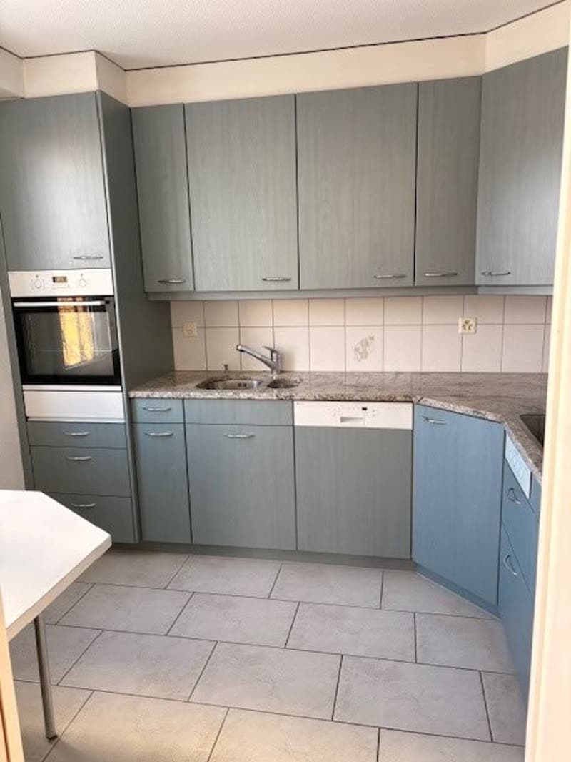 Beautiful, spacious 5.5 room apartment in a quiet location near school and shopping facilities (6)