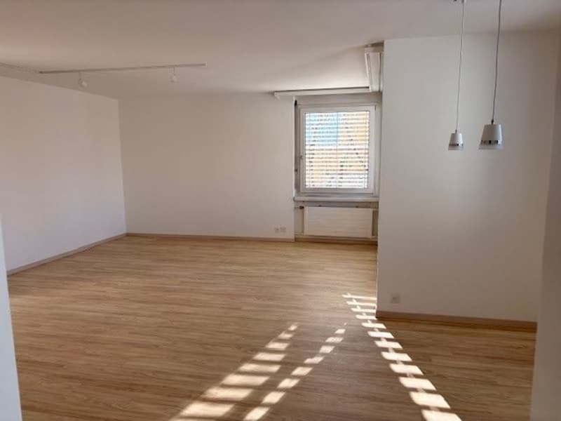 Beautiful, spacious 5.5 room apartment in a quiet location near school and shopping facilities (2)