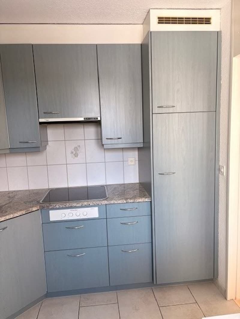 Beautiful, spacious 5.5 room apartment in a quiet location near school and shopping facilities (5)
