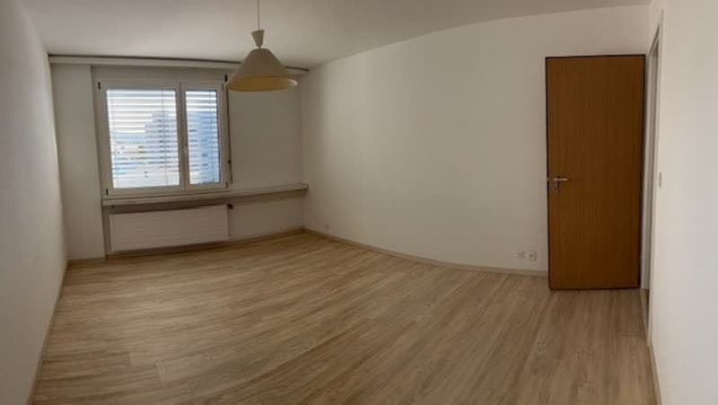 Beautiful, spacious 5.5 room apartment in a quiet location near school and shopping facilities (10)