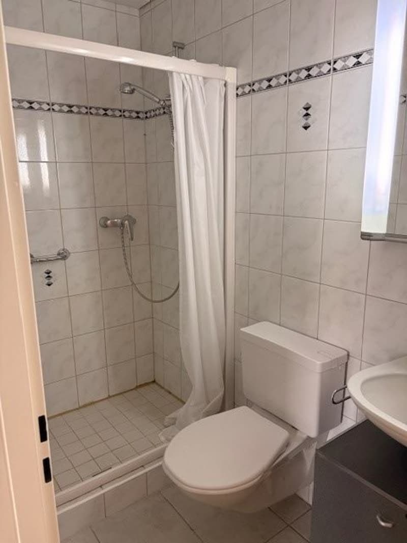 Beautiful, spacious 5.5 room apartment in a quiet location near school and shopping facilities (14)