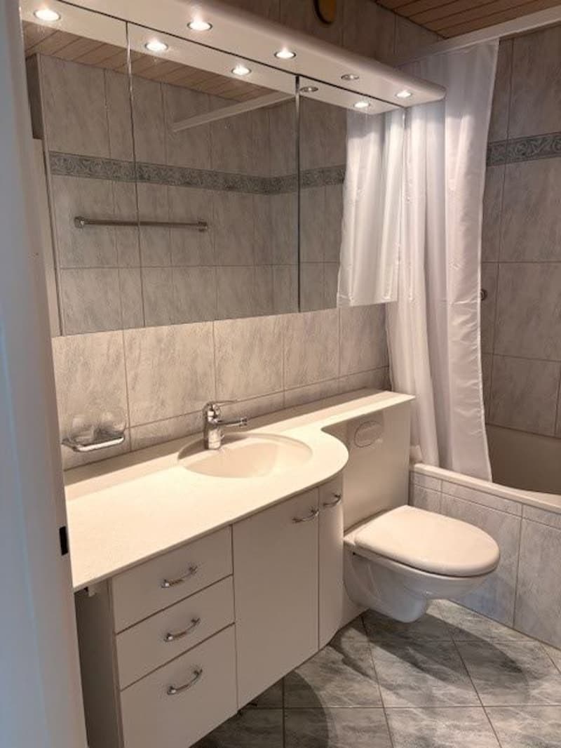 Beautiful, spacious 5.5 room apartment in a quiet location near school and shopping facilities (13)