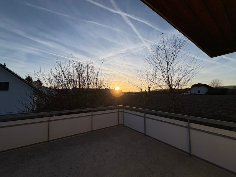 Casa multifamiliare affascinante a Roggwil (3)